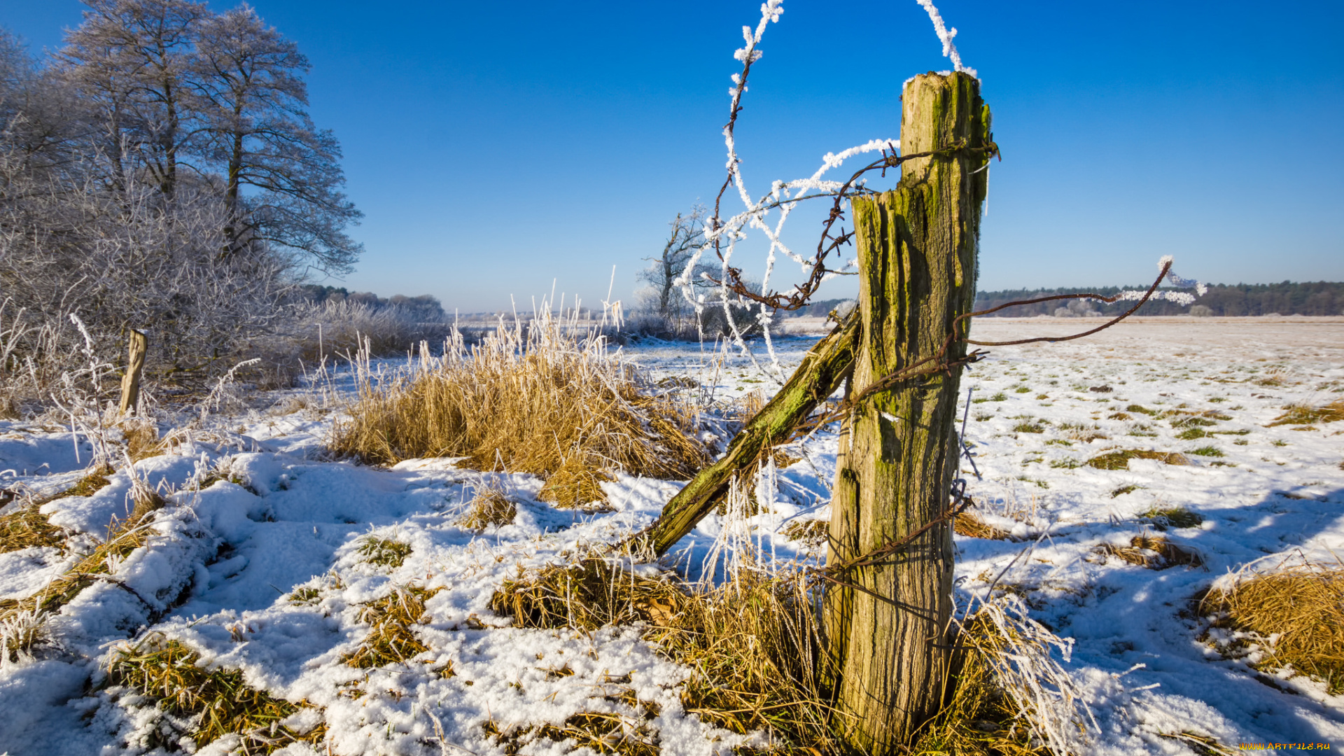 природа, зима, простор