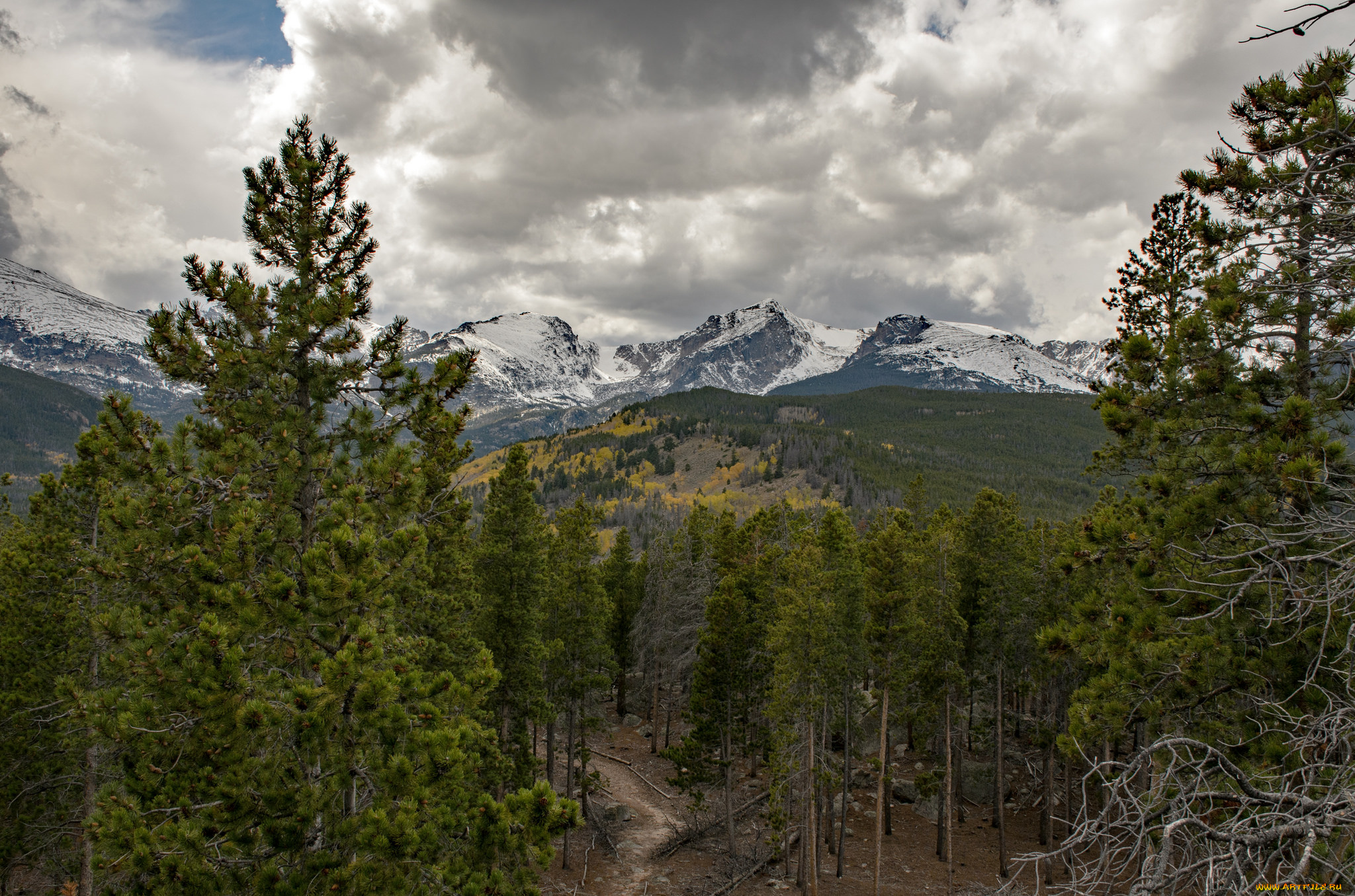 природа, пейзажи, простор