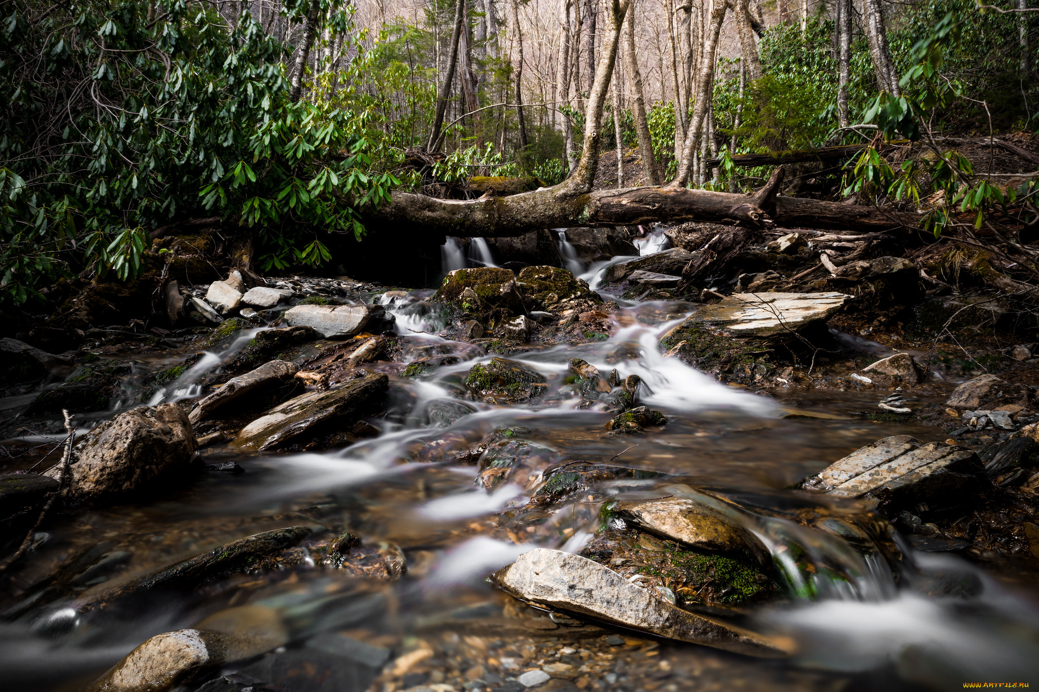 природа, реки, озера, простор