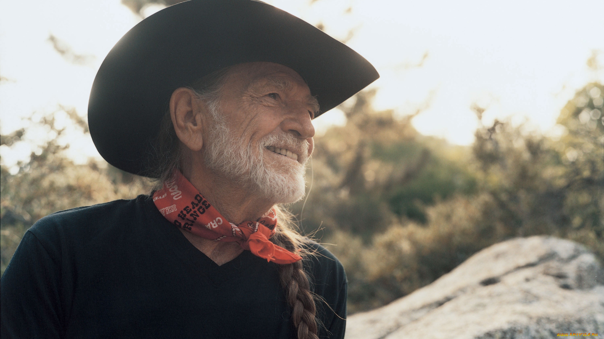 -willie-nelson, музыка, -временный, музыкант