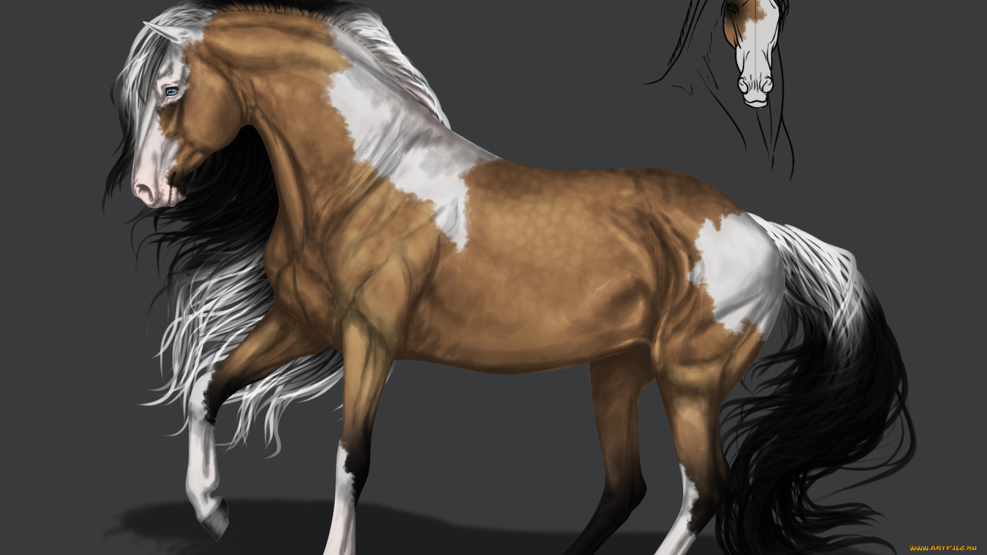 рисованное, животные, , лошади, фон, грива, конь