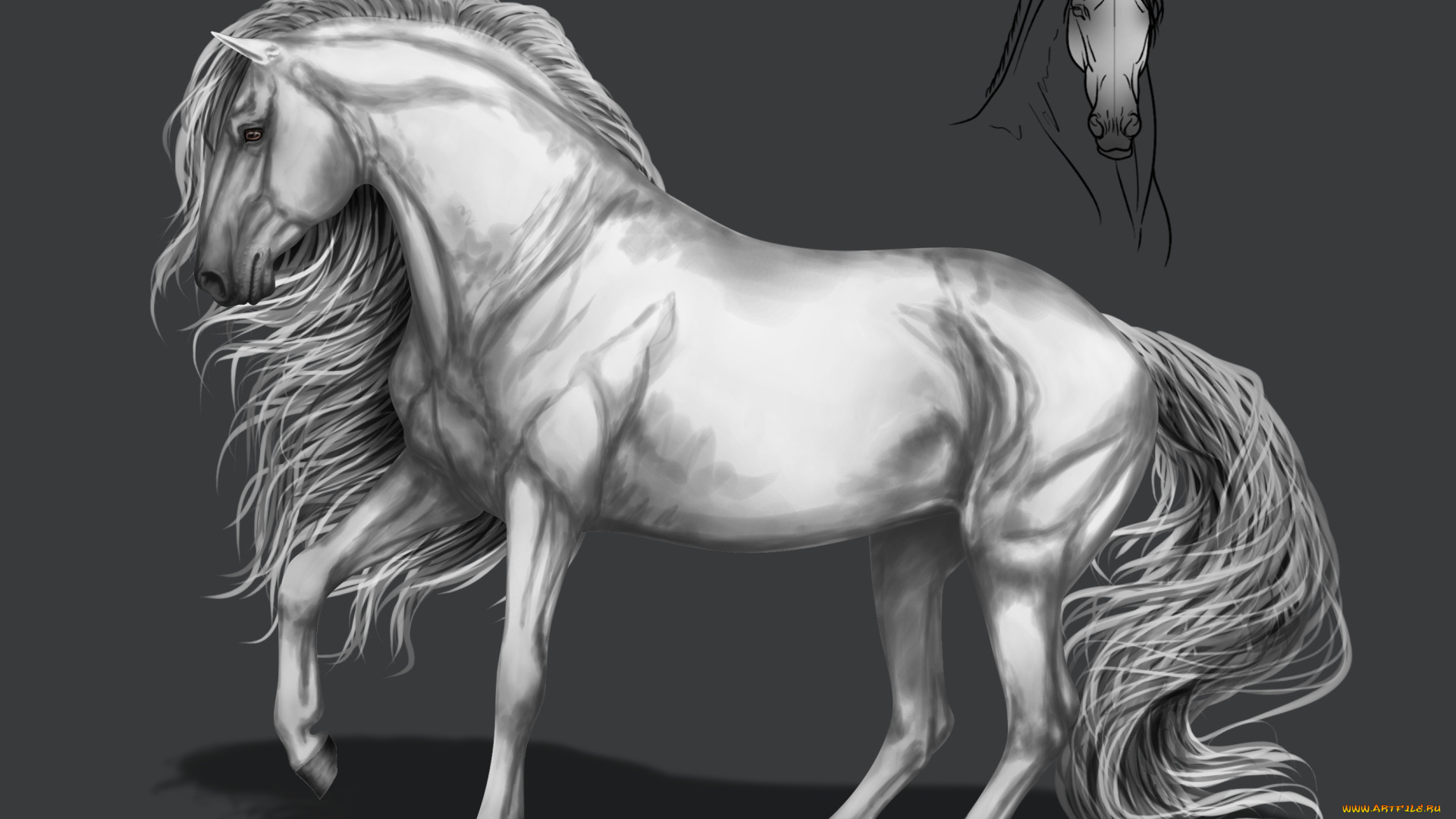 рисованное, животные, , лошади, грива, фон, конь