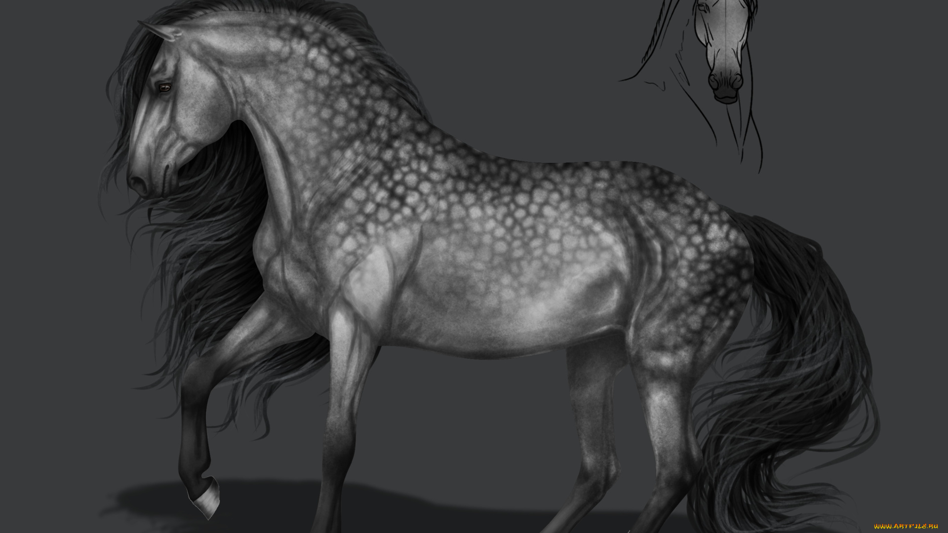 рисованное, животные, , лошади, грива, фон, конь