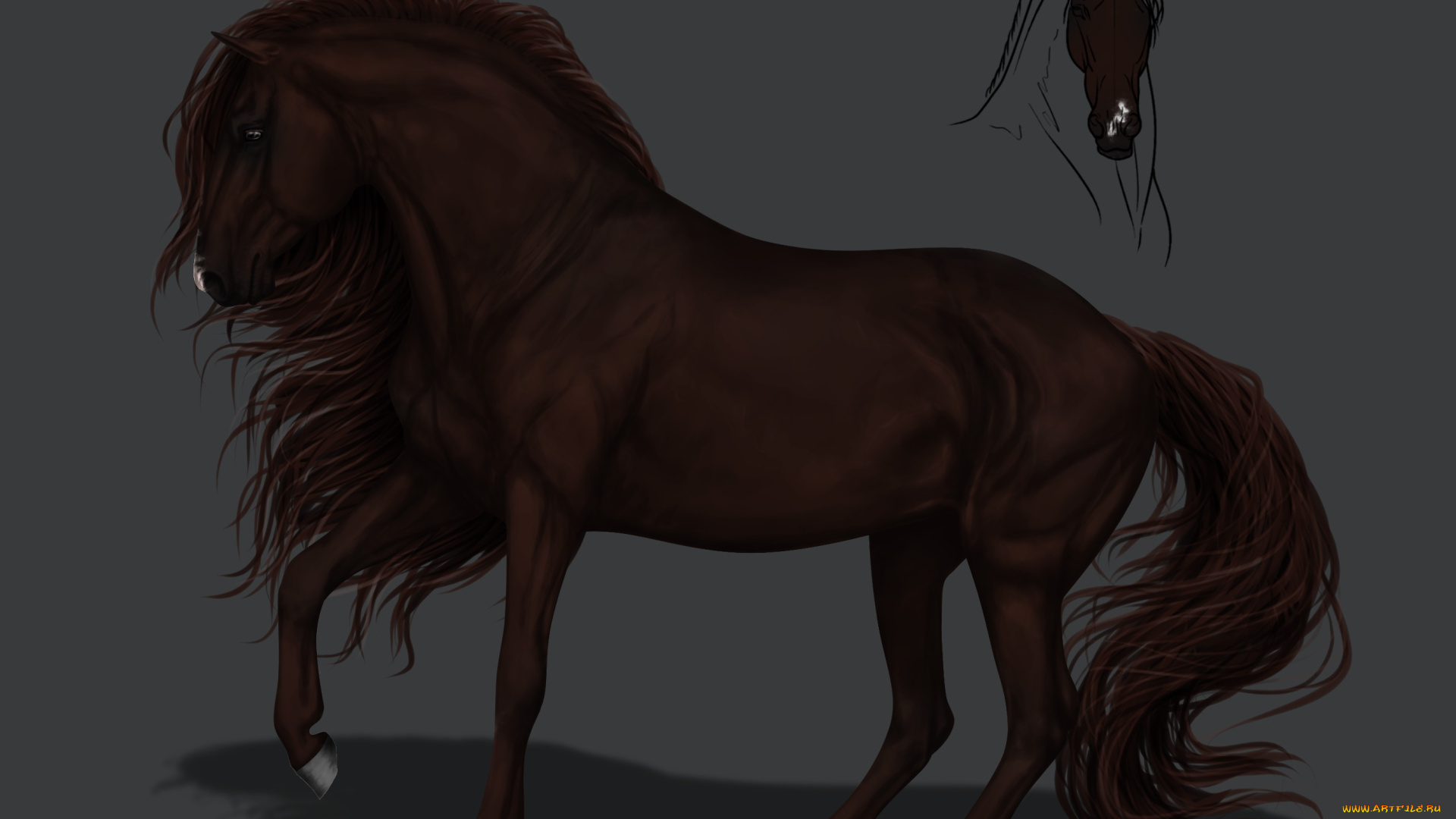 рисованное, животные, , лошади, грива, конь, фон