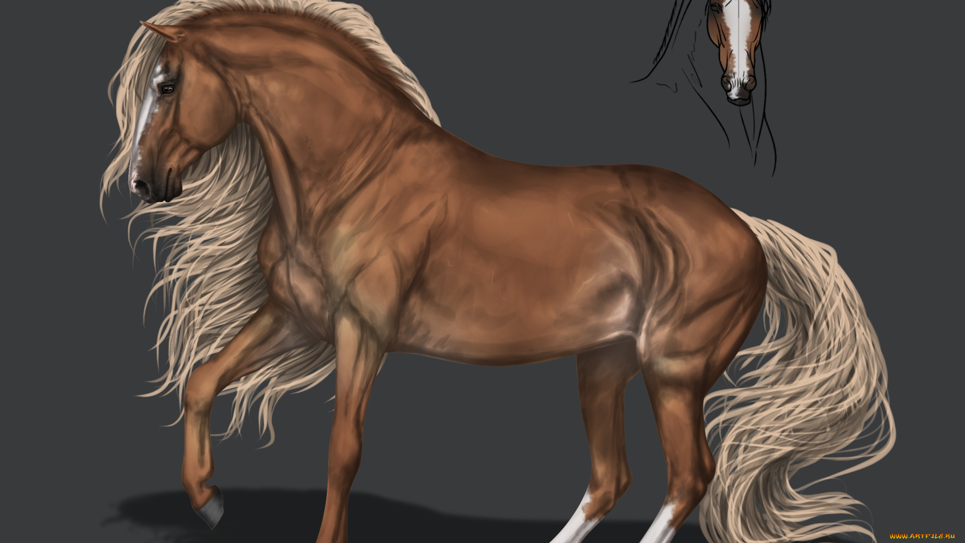 рисованное, животные, , лошади, конь, грива, фон