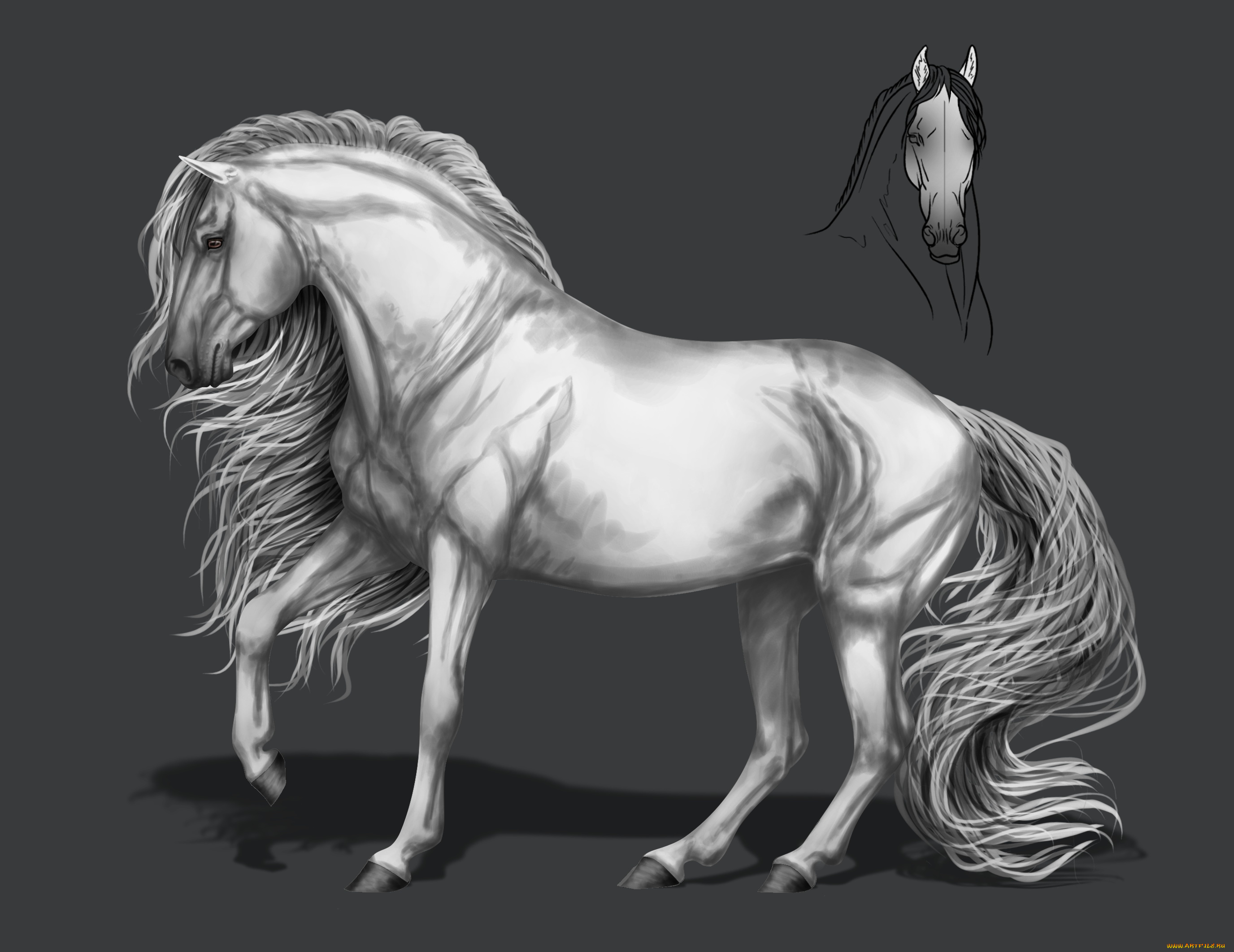 рисованное, животные, , лошади, грива, фон, конь