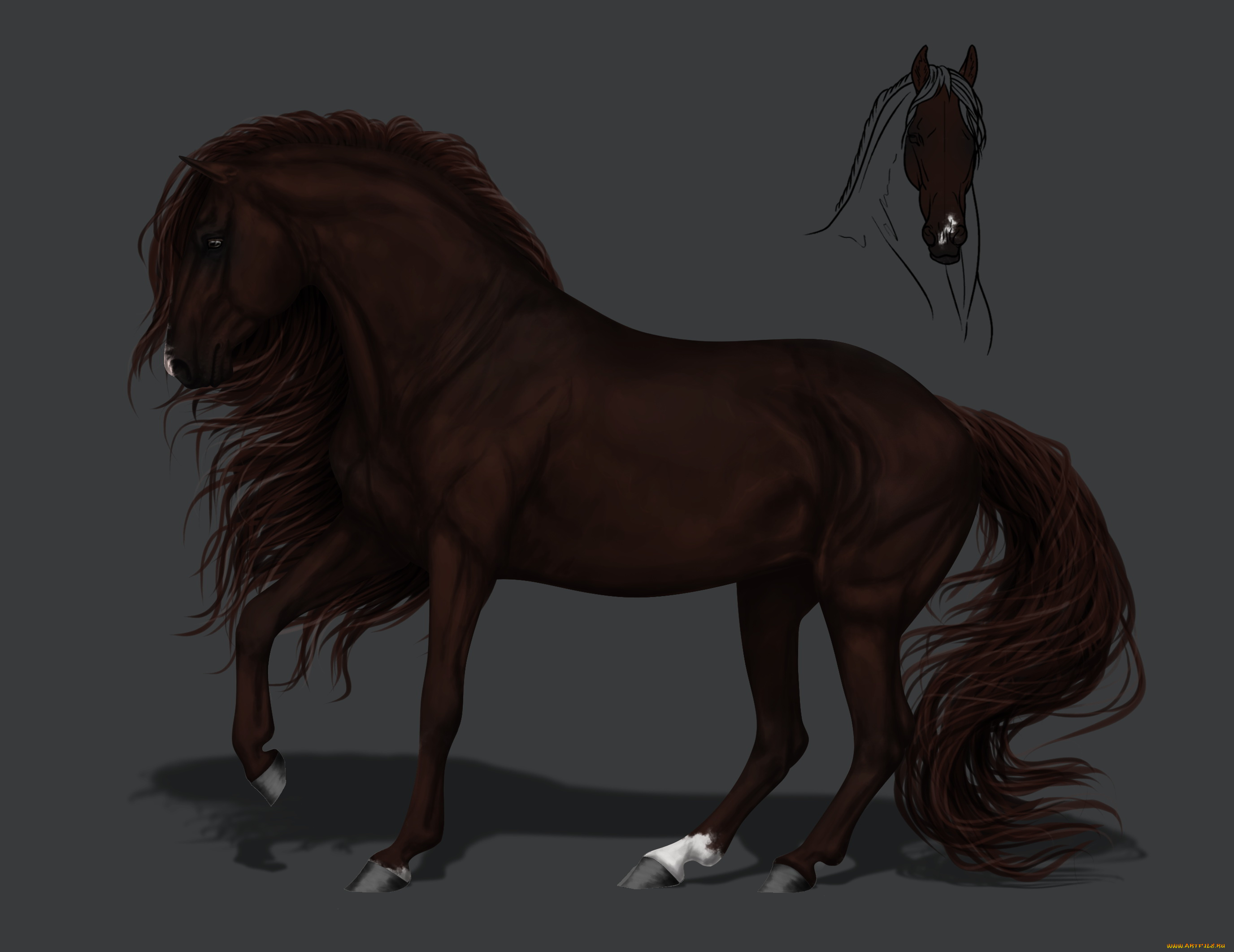 рисованное, животные, , лошади, грива, конь, фон