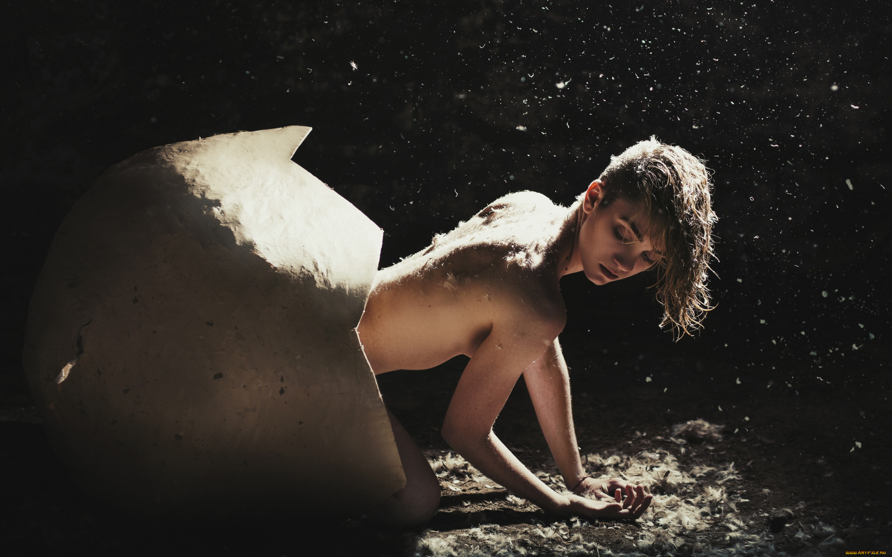 девушки, -unsort, , креатив, пух, вылупилась, цыпочка, скорлупа, обнаженная, перья, яйцо, спина, темный, фон, поза, лицо, свет, девушка