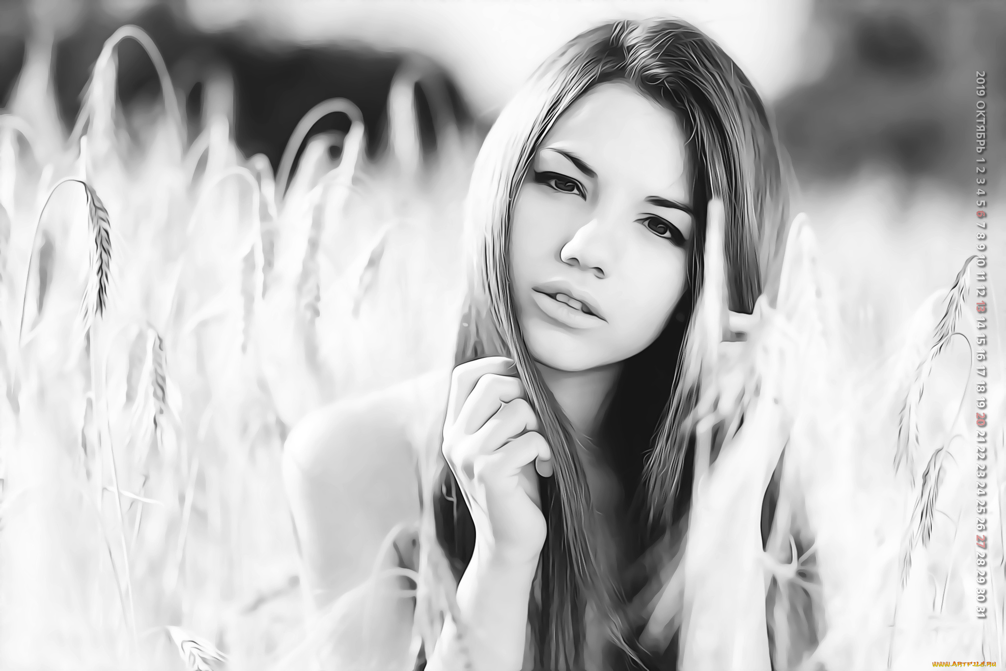 календари, компьютерный, дизайн, женщина, взгляд, растение, злак, девушка, 2019, calendar