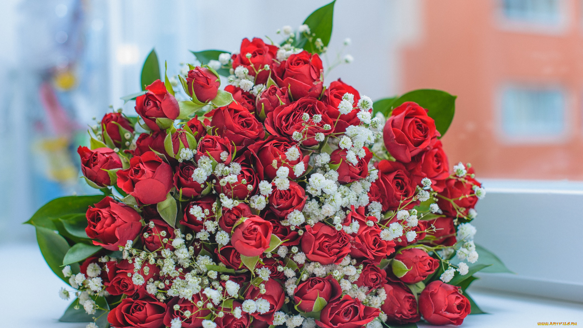 цветы, букеты, , композиции, розы