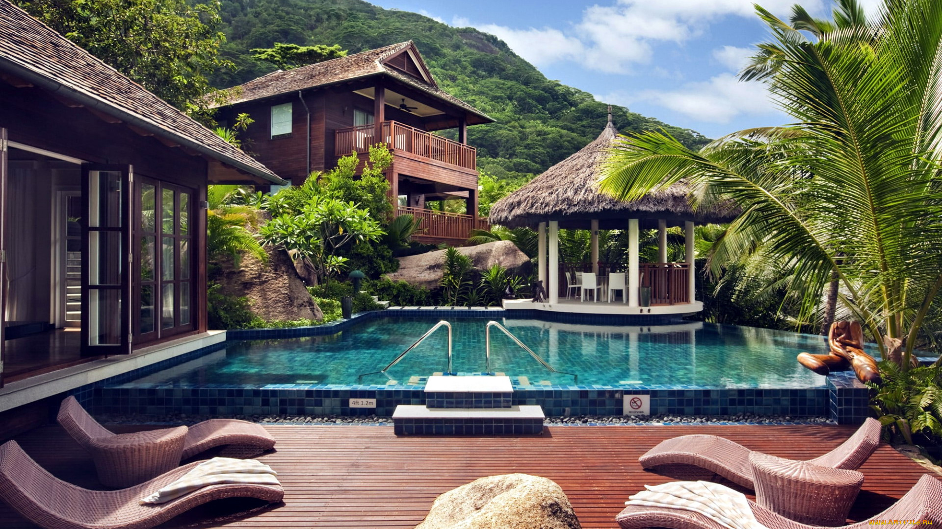 интерьер, бассейны, , открытые, площадки, бассейн, пальма