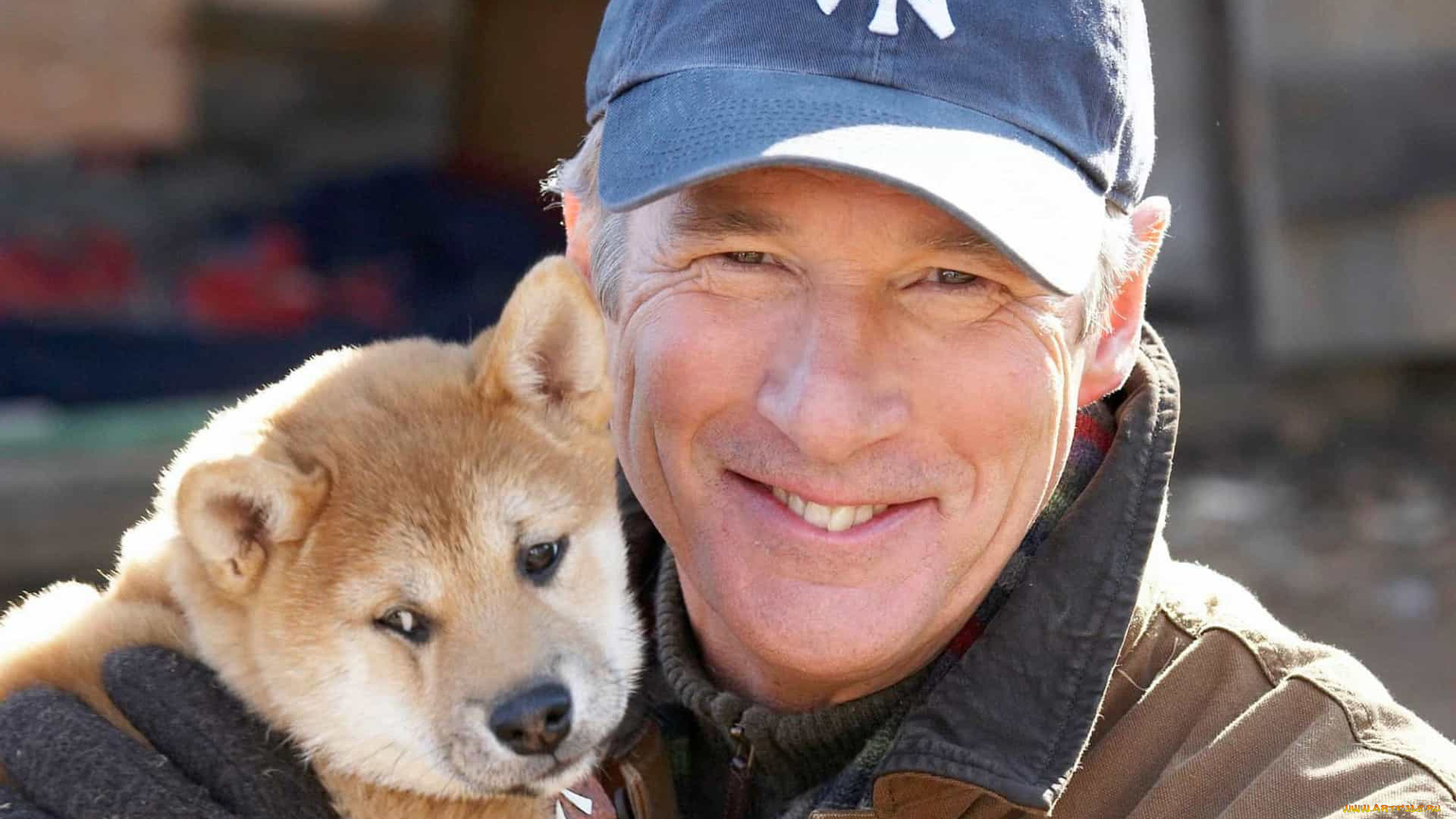 кино, фильмы, hachiko, , a, dogs, story, мужчина, щенок