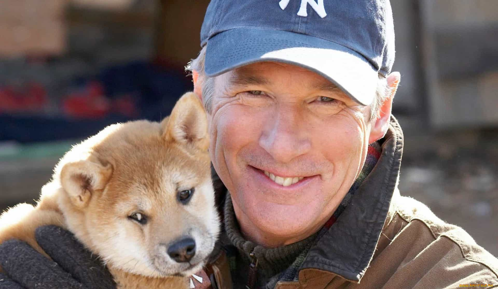 кино, фильмы, hachiko, , a, dogs, story, мужчина, щенок