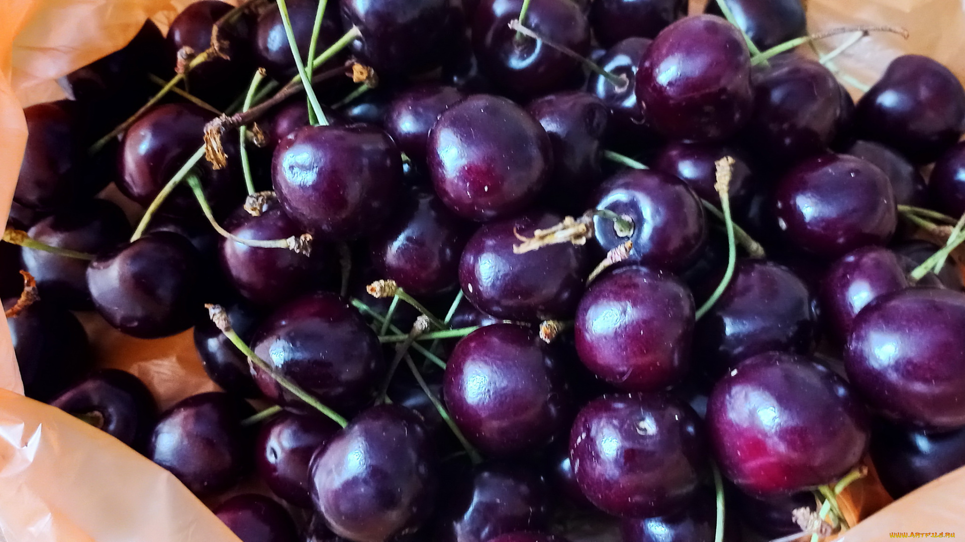еда, вишня, , черешня, спелая, черешня