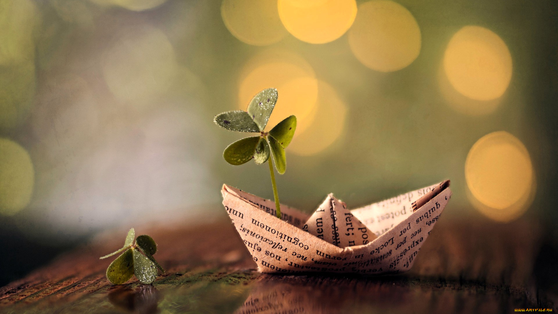 разное, игрушки, стол, ростки, бумажный, кораблик, оригами