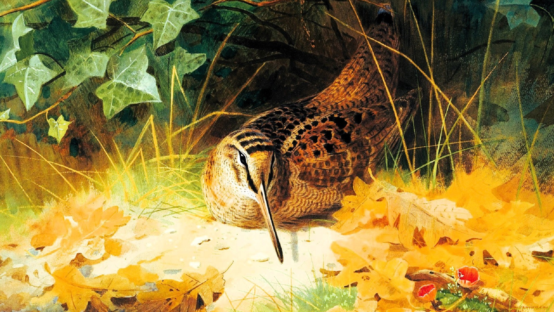 рисованное, archibald, thorburn, птица, вальдшнеп, кусты, плющ, листья, осень