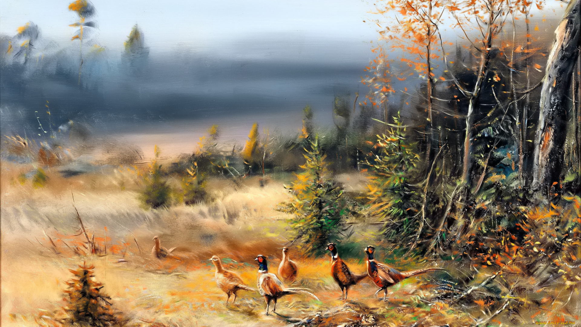 рисованное, живопись, лес, поляна, туман, хворост, фазаны, стая, птицы