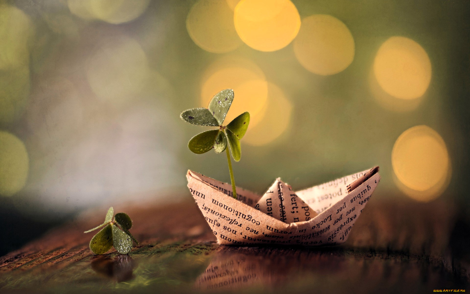 разное, игрушки, стол, ростки, бумажный, кораблик, оригами