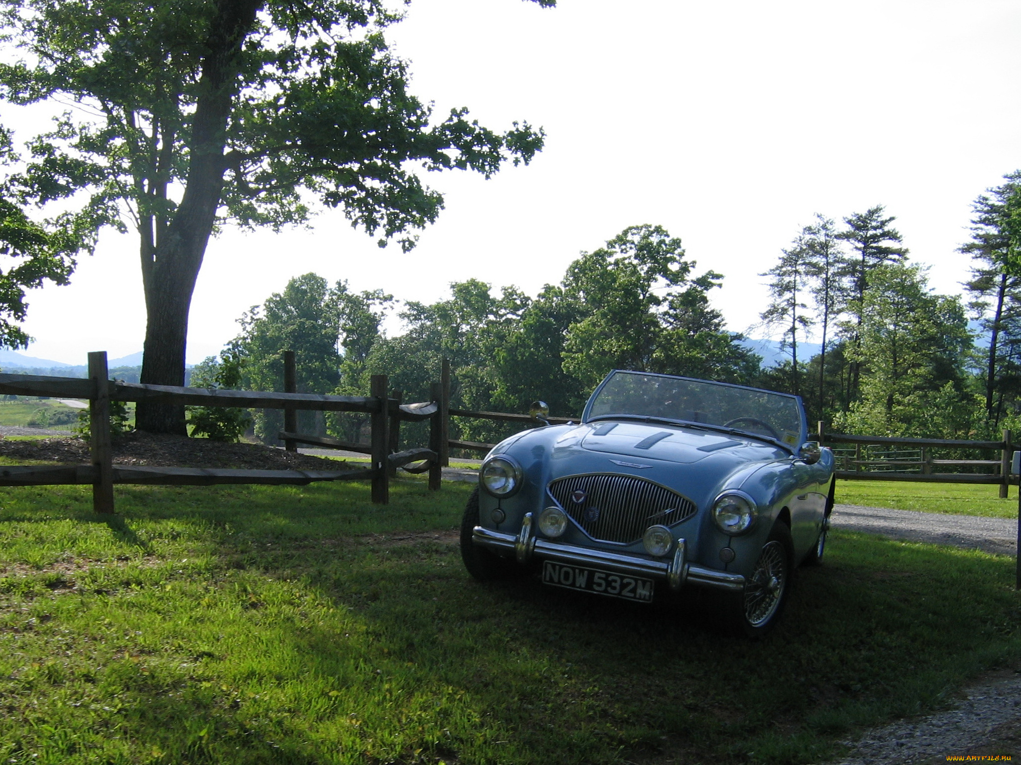 автомобили, austin, healy