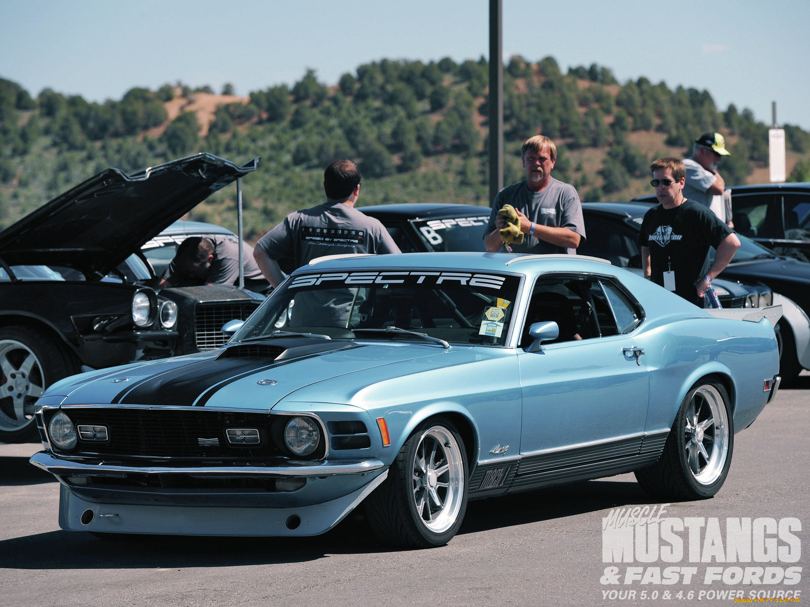 автомобили, выставки, уличные, фото, madness