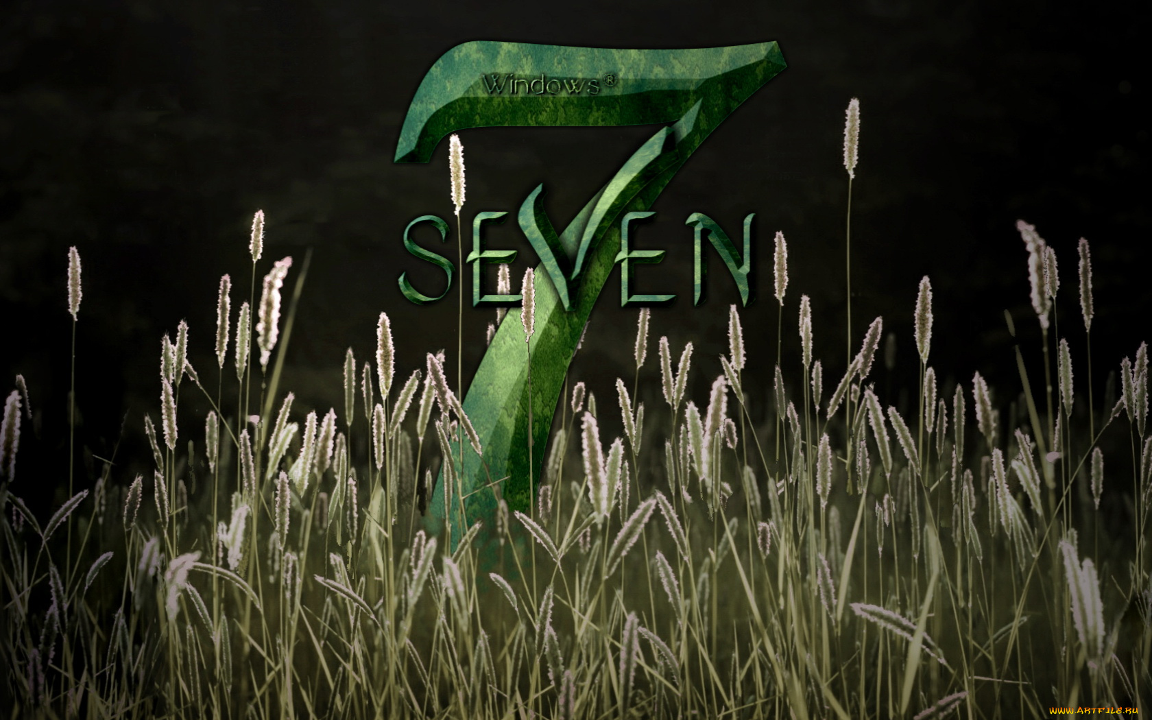 компьютеры, windows, vienna, тёмный, логотип, трава