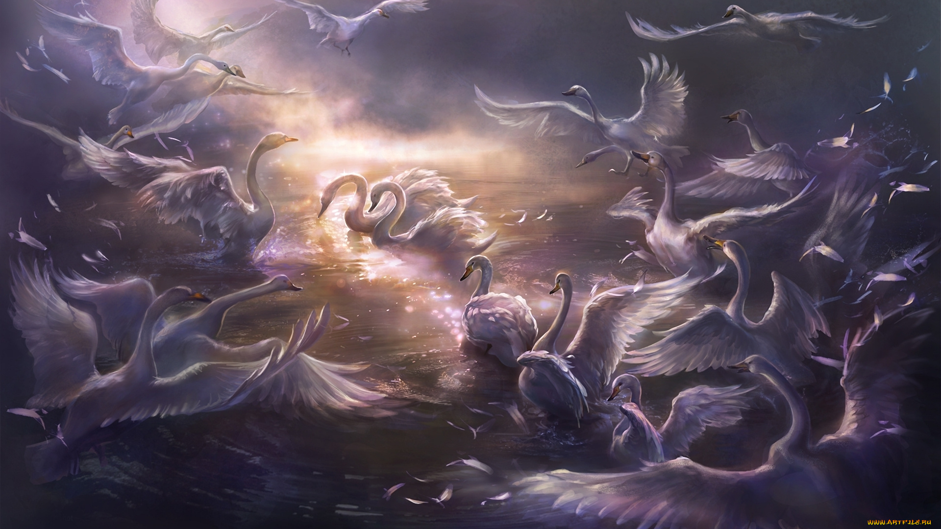 rongrong, wang, рисованные, животные, лебеди