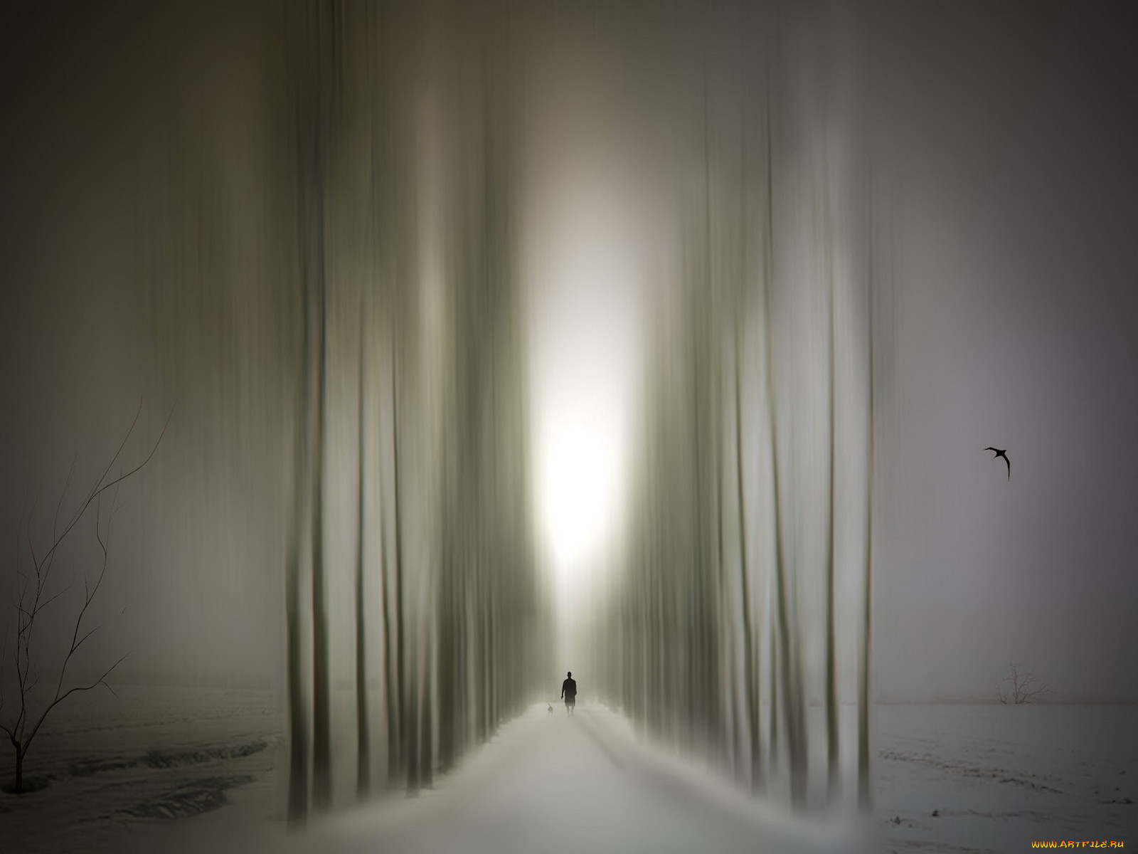 разное, компьютерный, дизайн, алея, деревья, человек