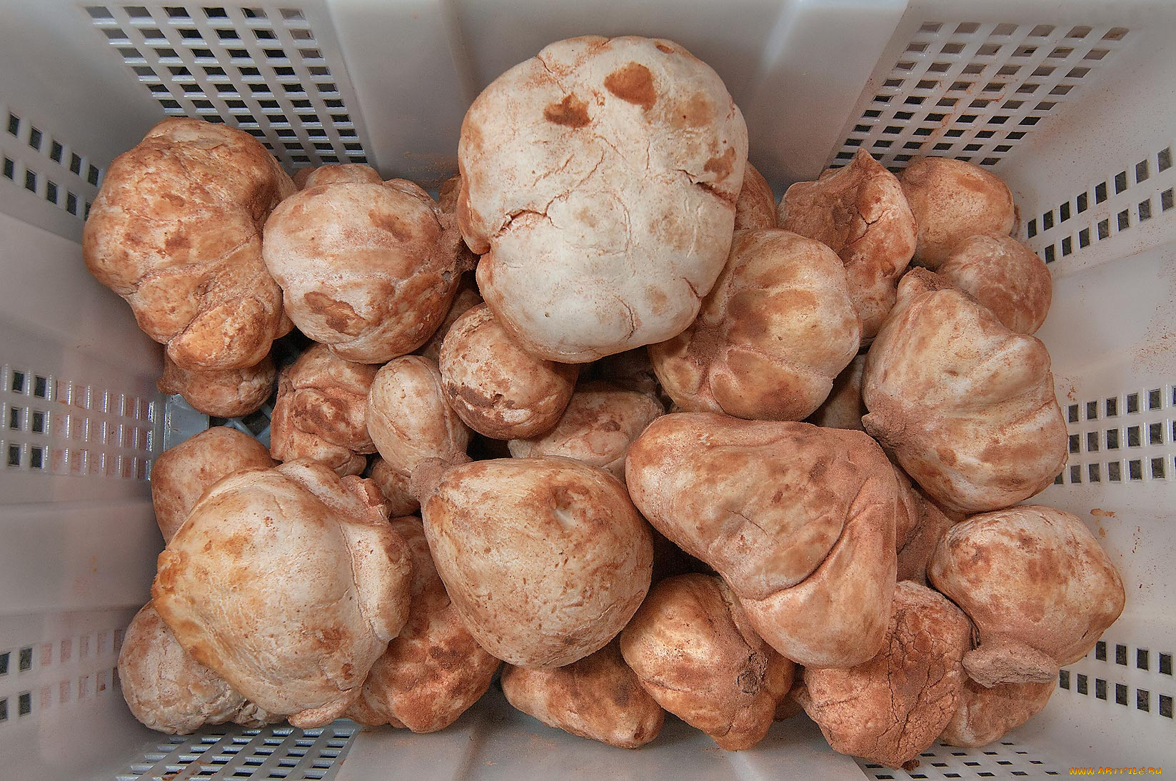 еда, грибы, грибные, блюда