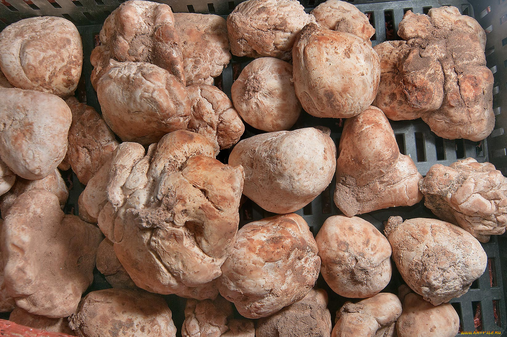 еда, грибы, грибные, блюда