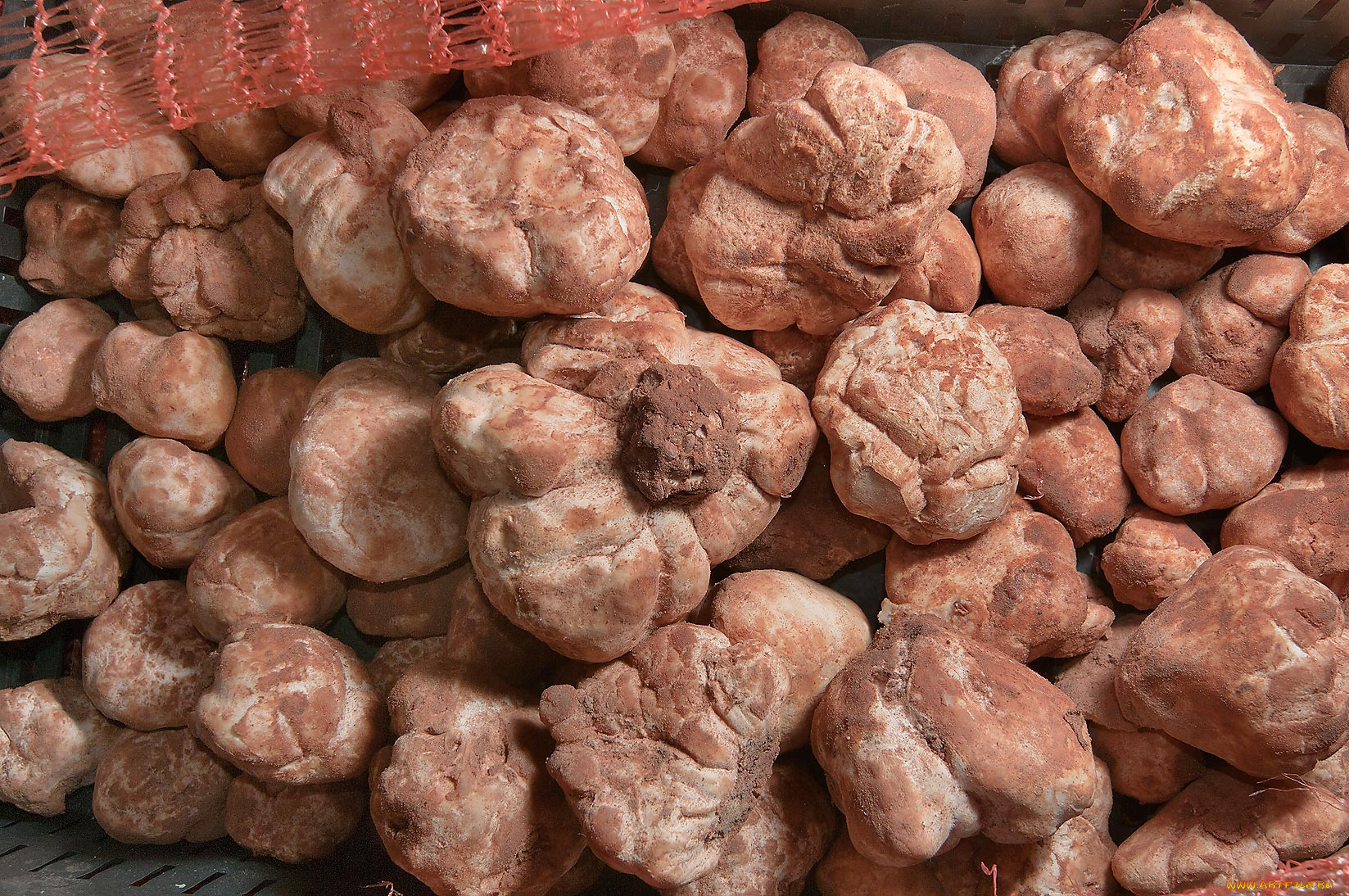 еда, грибы, грибные, блюда