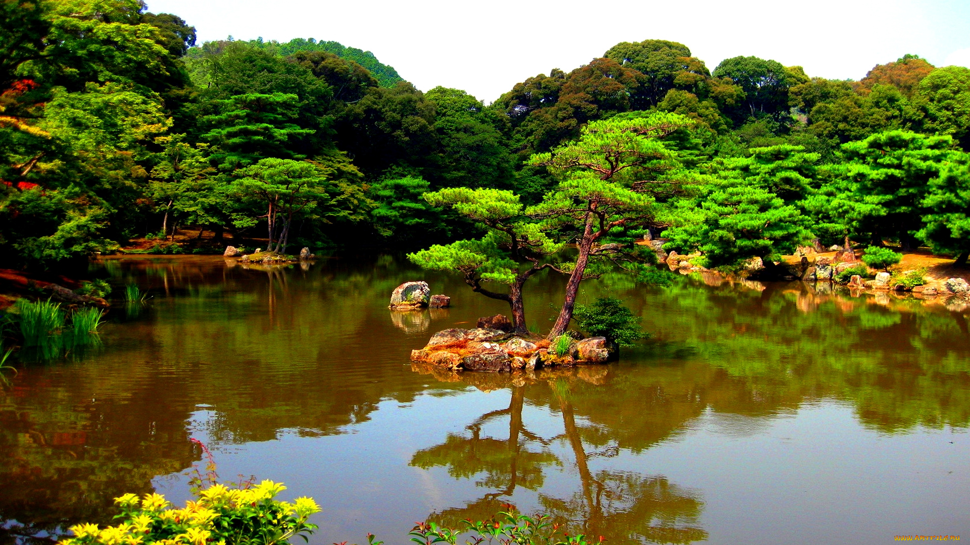 japanese, park, природа, парк, пруд, островок, деревья, трава, цветы, Япония