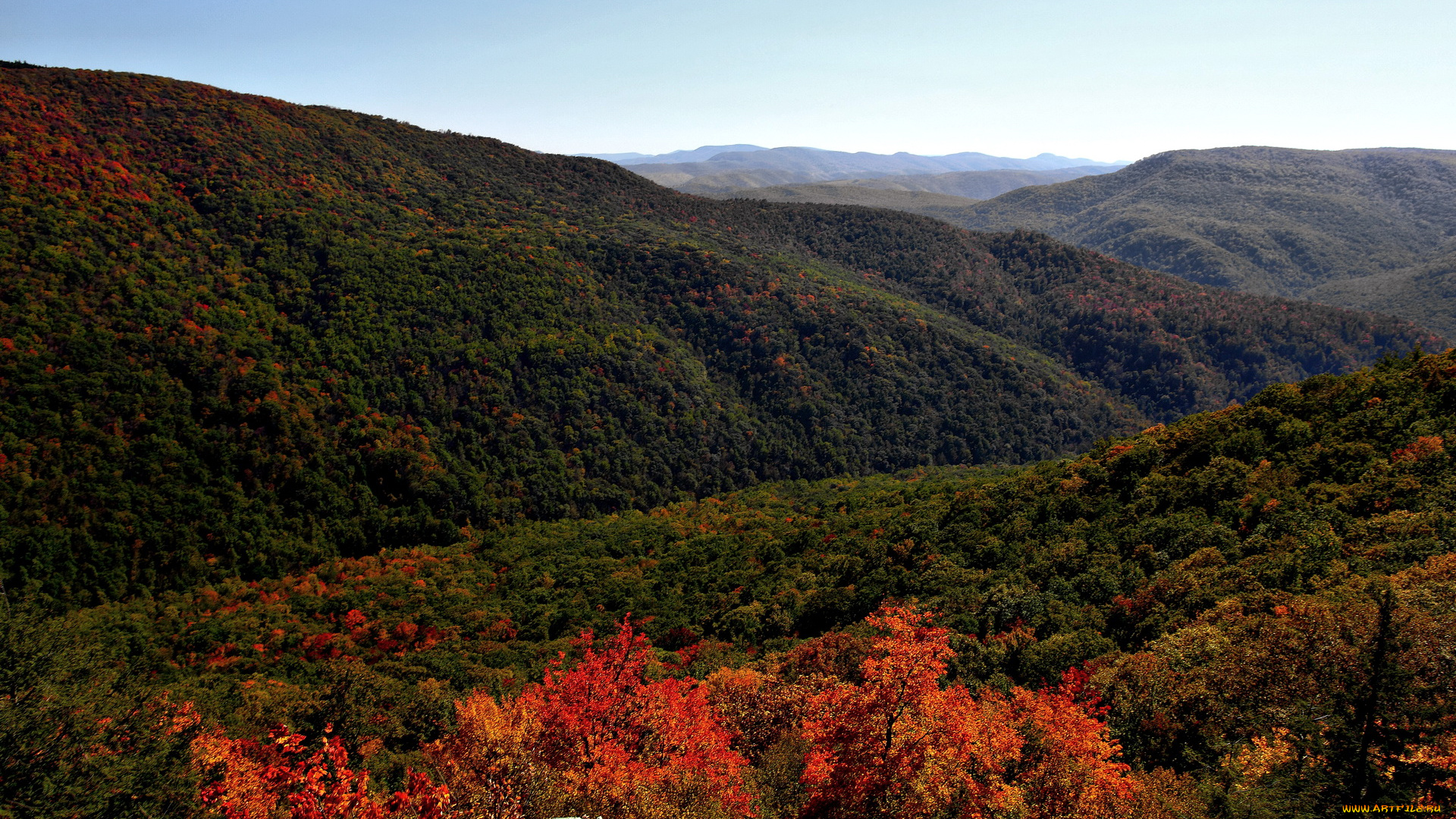 природа, горы, лес, осень