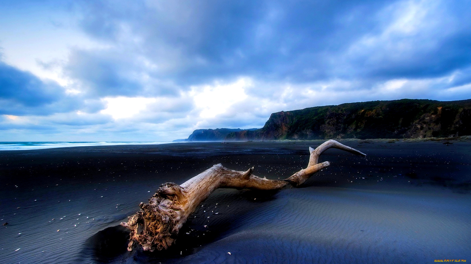 природа, побережье, океан, отлив, пляж, песок, бревно, скалы