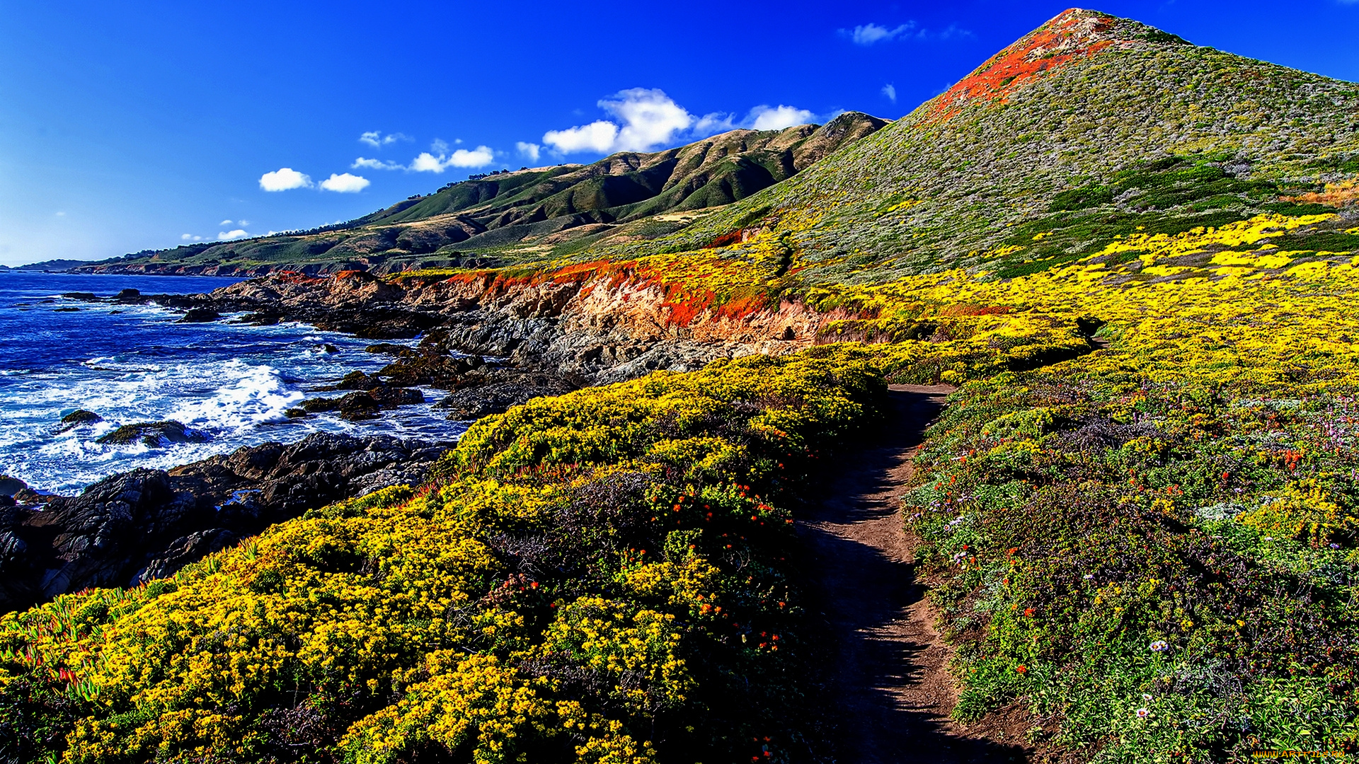 природа, побережье, океан, тропинка, трава, холмы