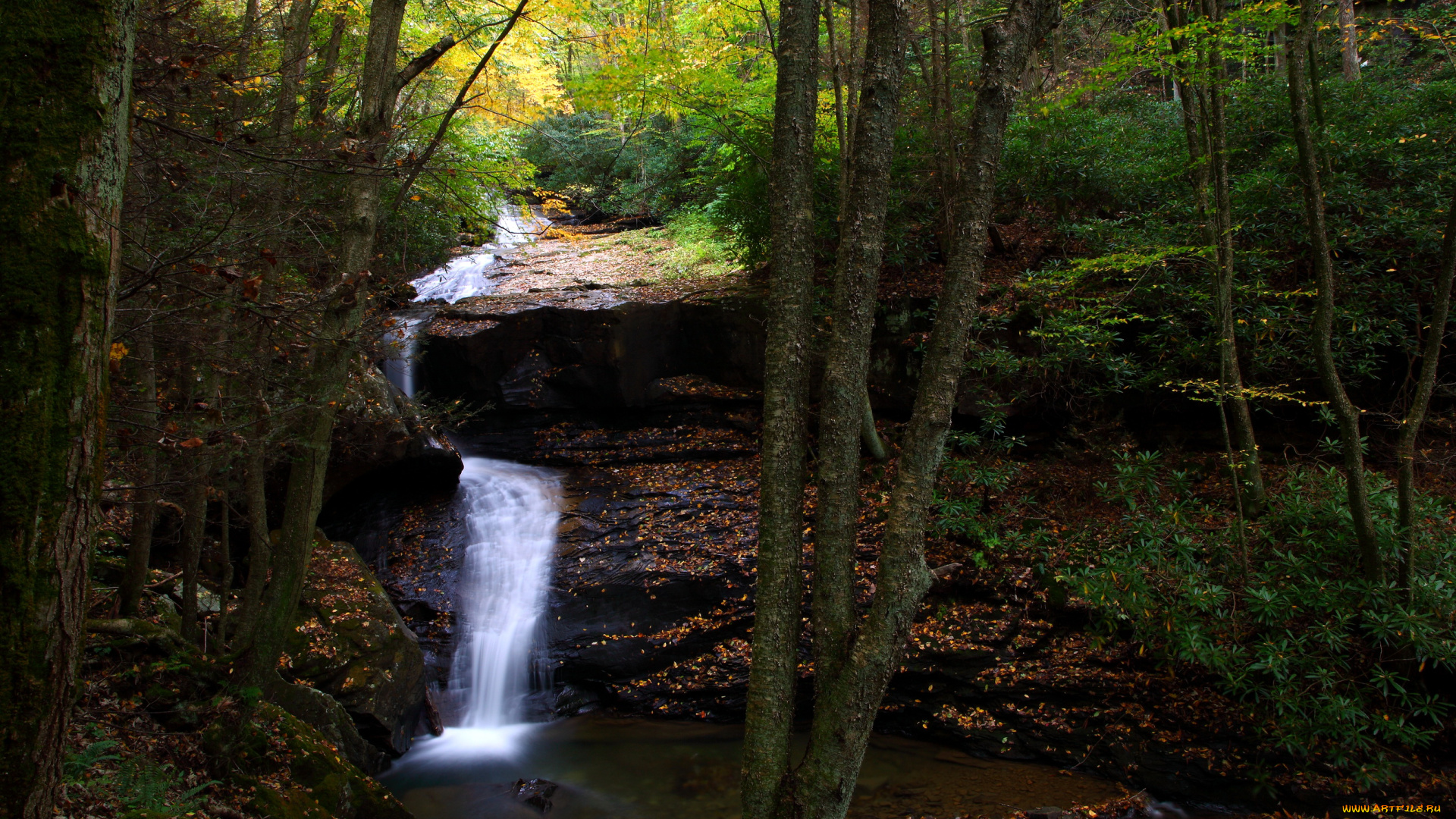 природа, водопады, лес, водопад