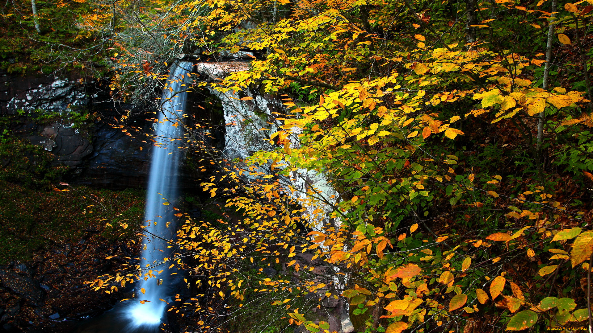 природа, водопады, водопад, осень