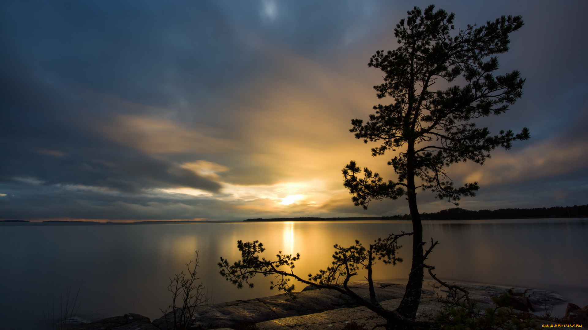 природа, восходы, закаты, дерево, закат, озеро