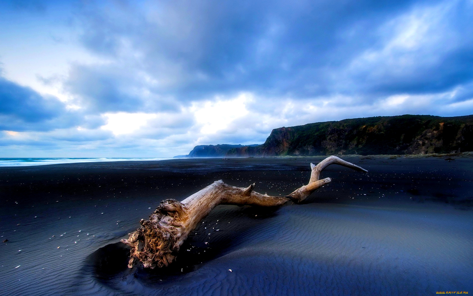 природа, побережье, океан, отлив, пляж, песок, бревно, скалы