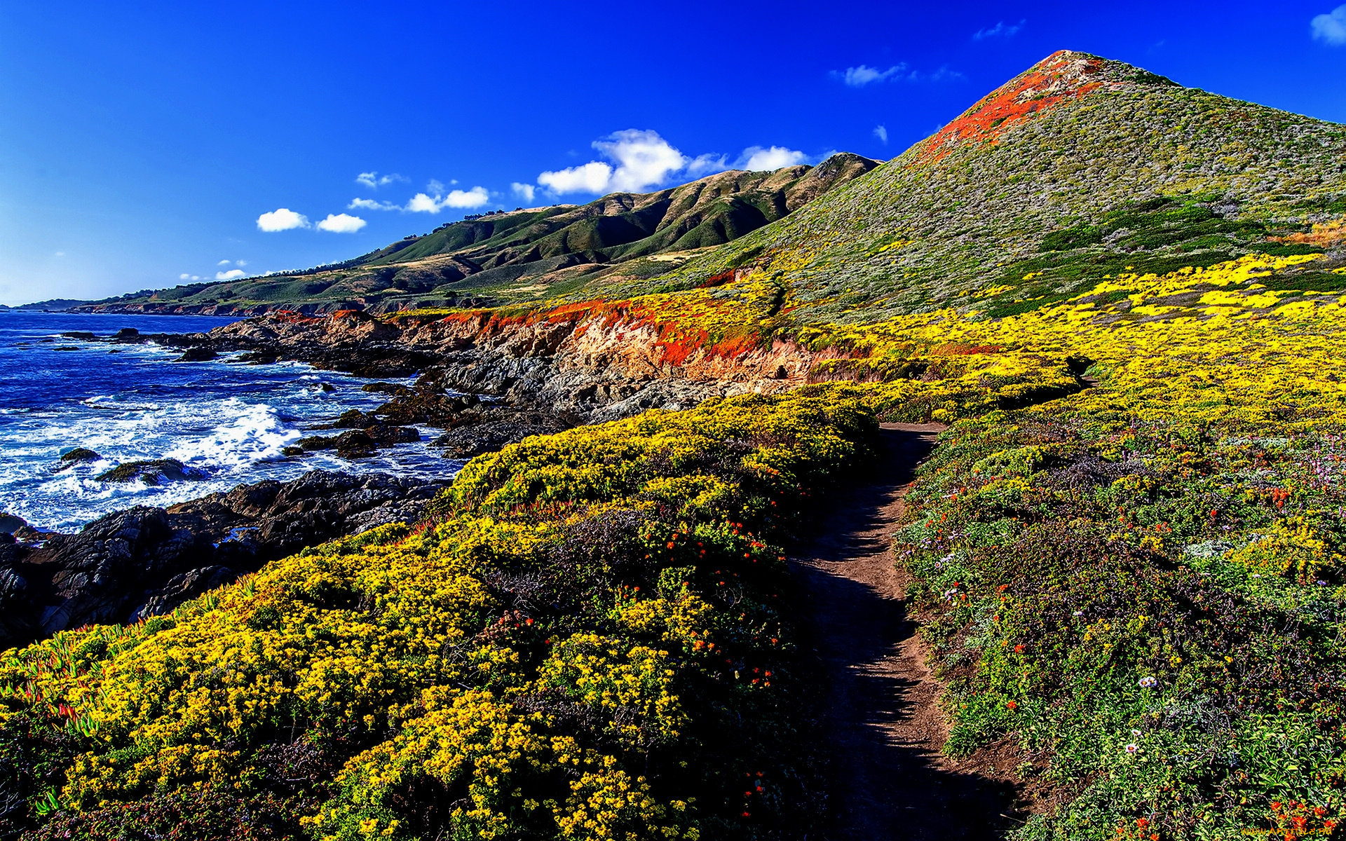 природа, побережье, океан, тропинка, трава, холмы