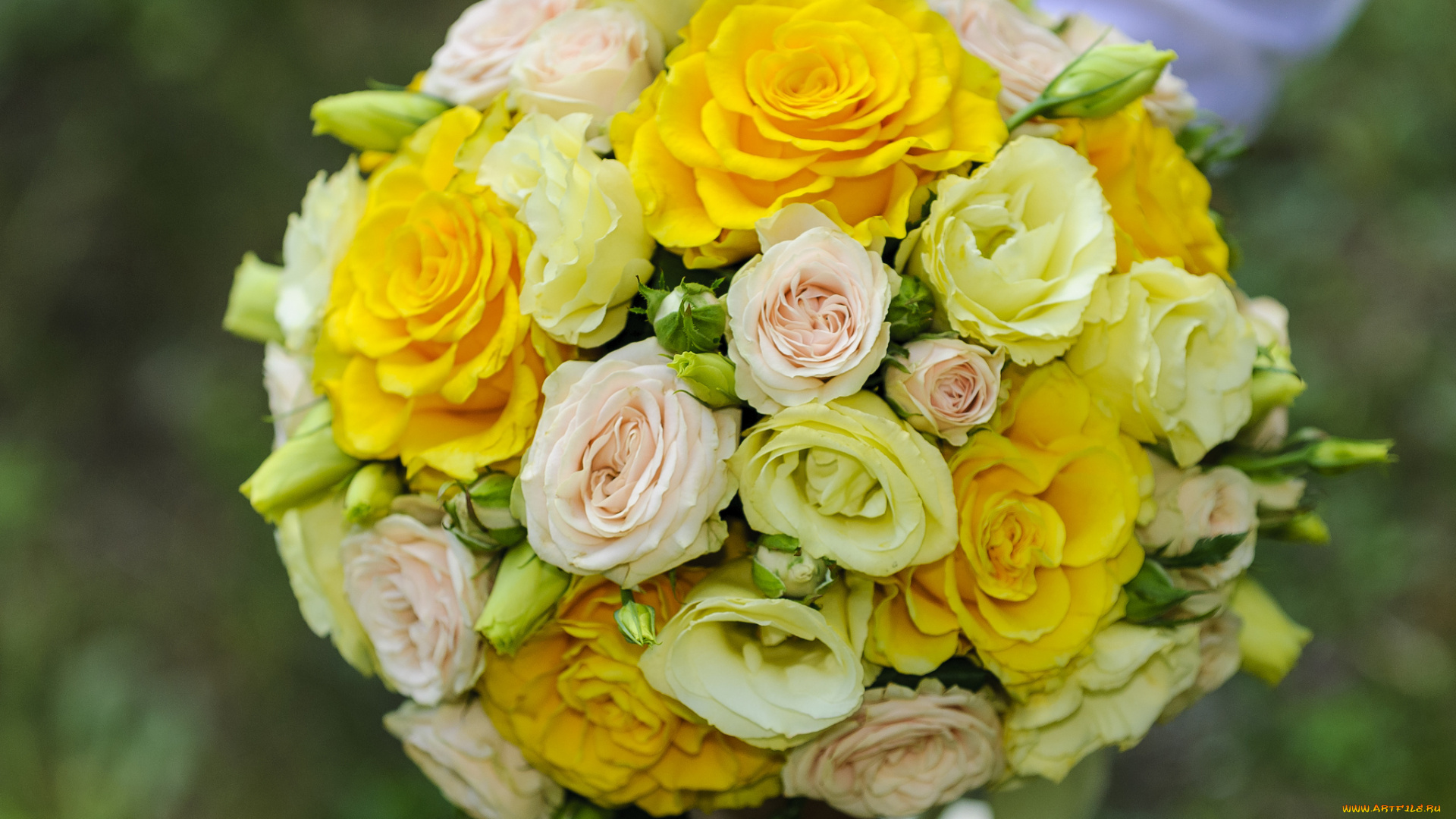 цветы, букеты, композиции, розы, эустома