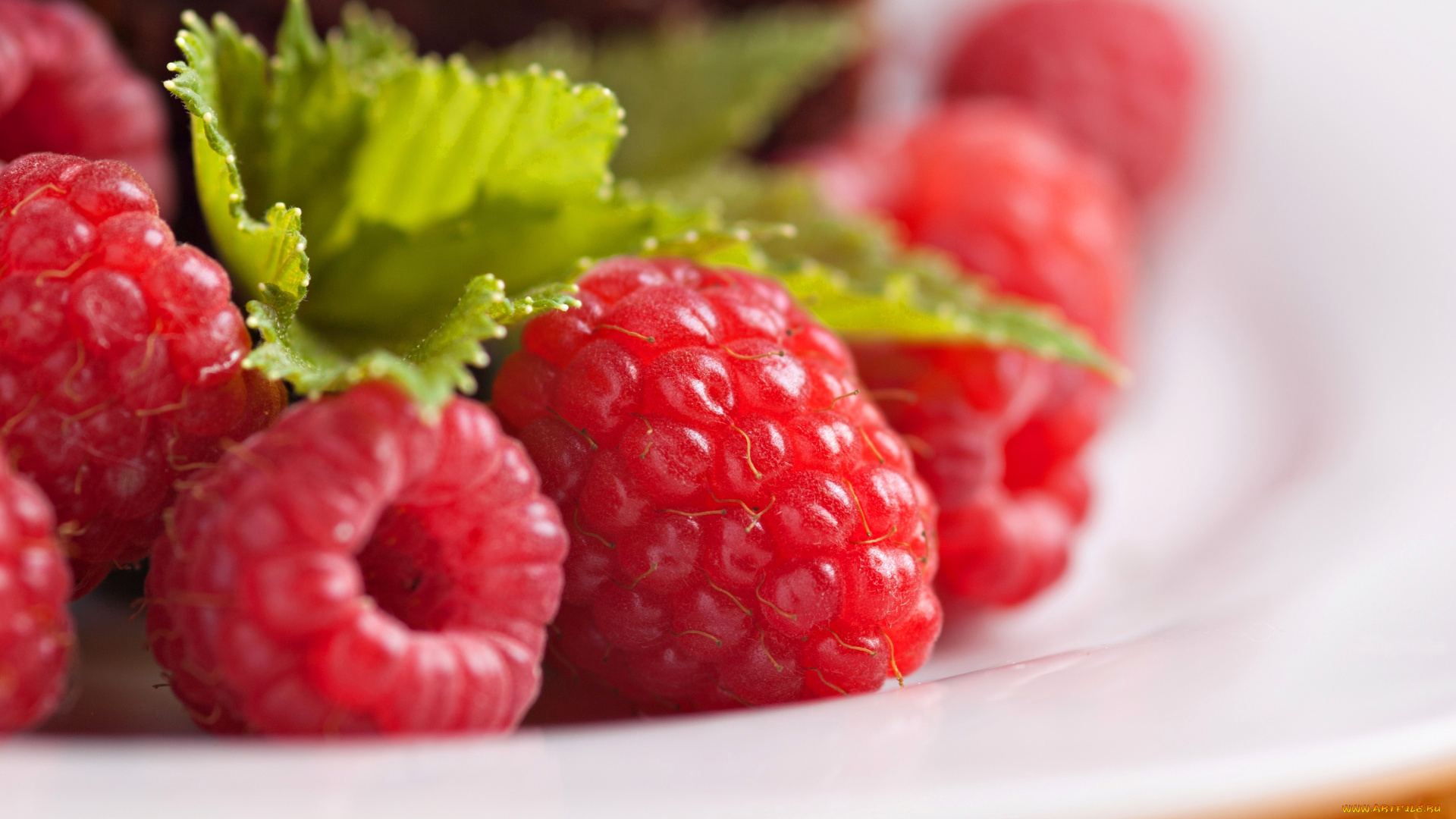 еда, малина, красные, листочки, ягоды, тарелка