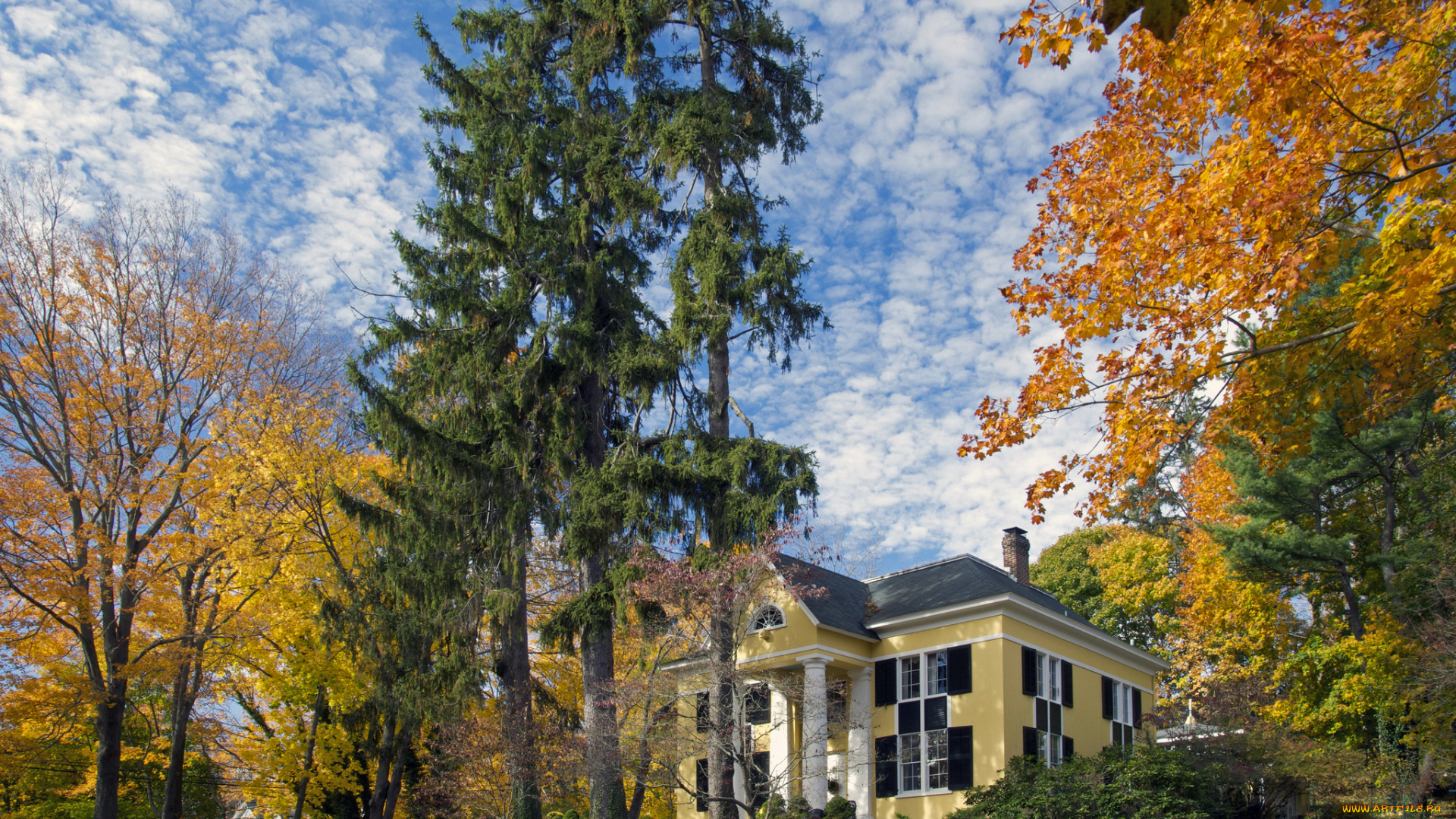 города, здания, дома, особняк, деревья, парк, осень