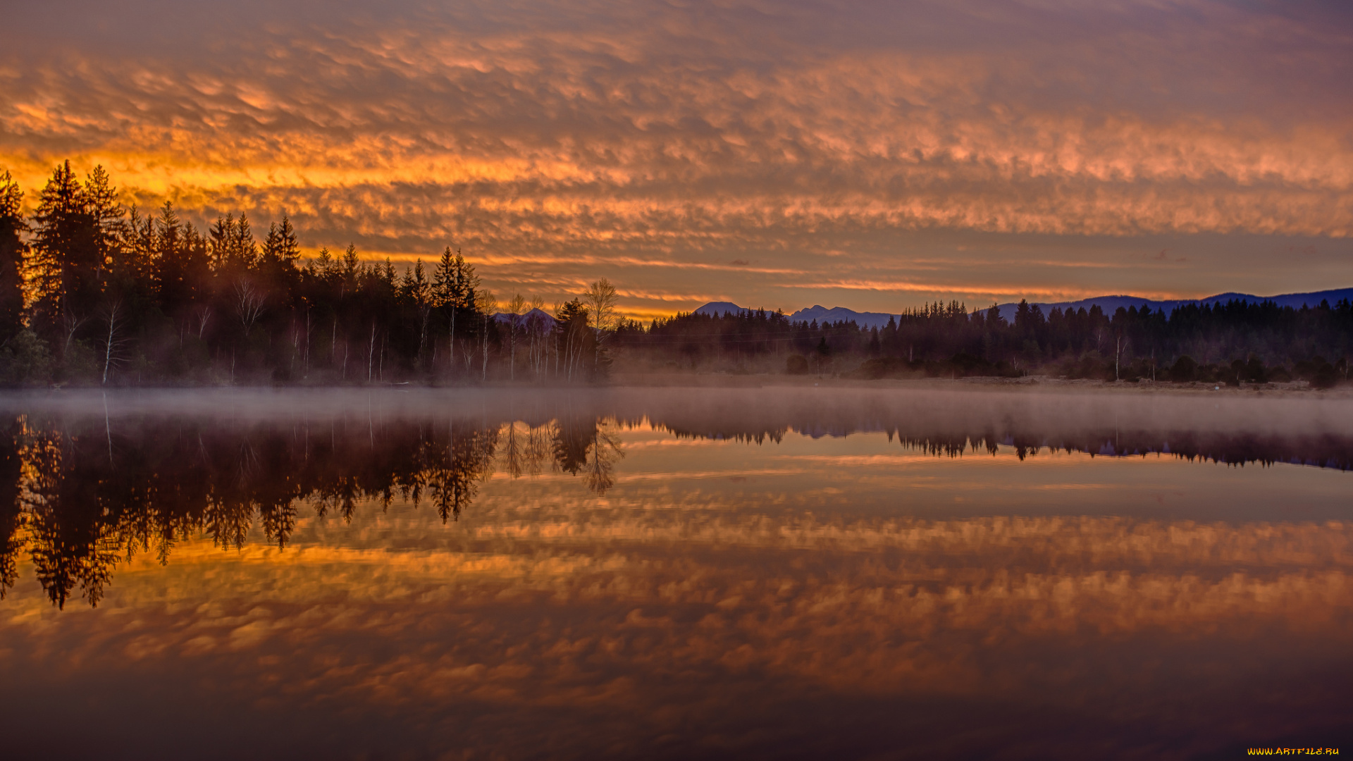 lake, kirchsee, bavaria, germany, природа, реки, озера, лес, утро, туман, отражение, рассвет, германия, бавария, озеро, кирхзее