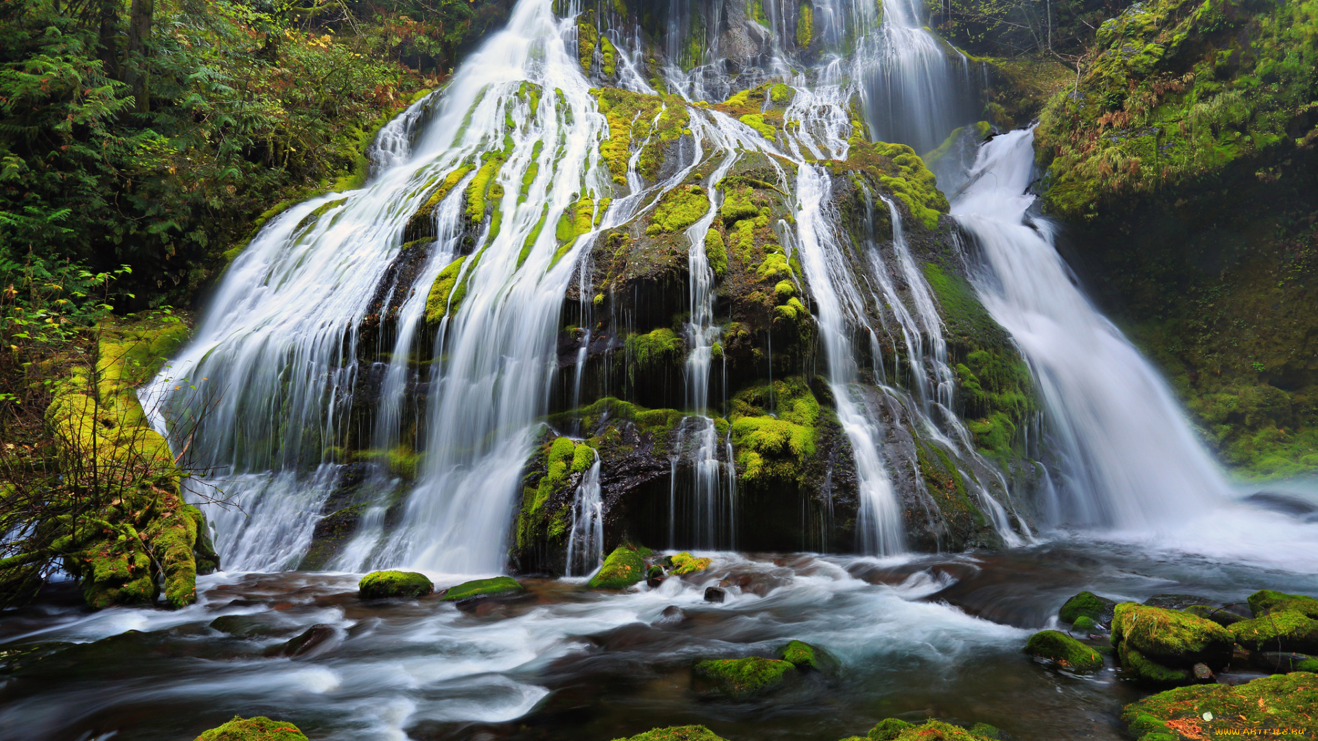 panther, creek, falls, columbia, river, gorge, oregon, природа, водопады, камни, мох, орегон