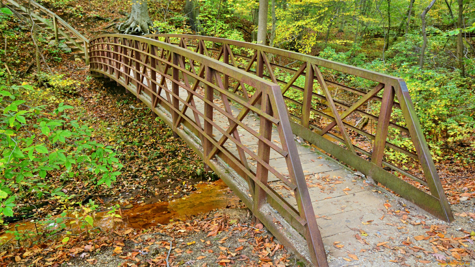 природа, дороги, лестница, мостик, овраг, лес