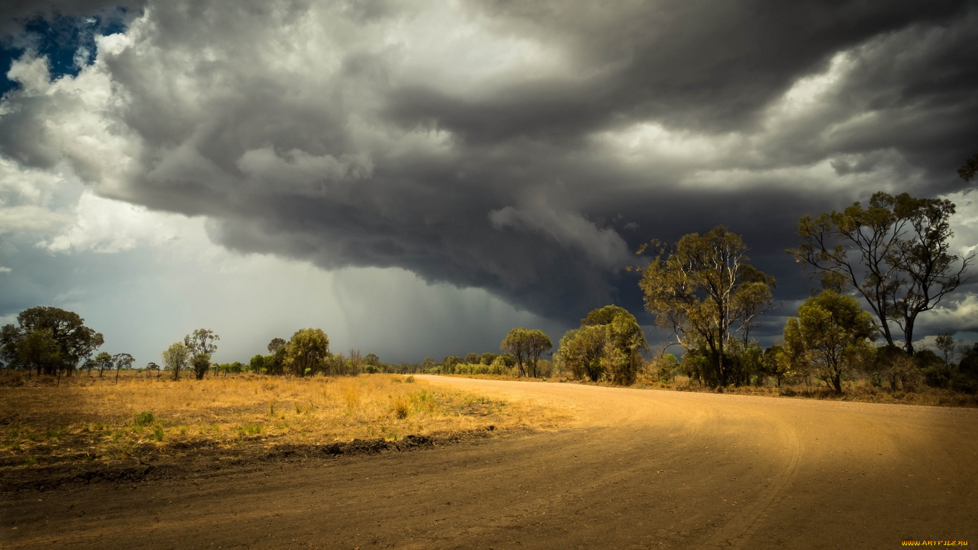 природа, дороги, тучи, деревья, дорога, поле