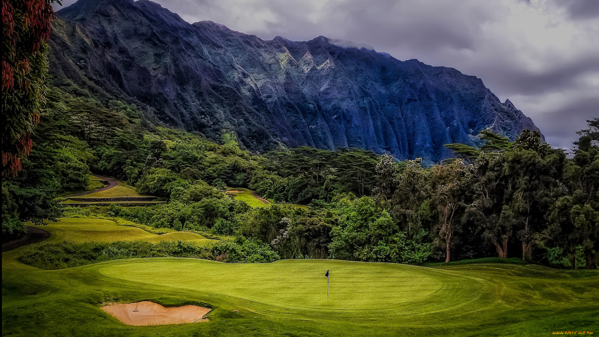 природа, пейзажи, трава, лес, горы, поляна