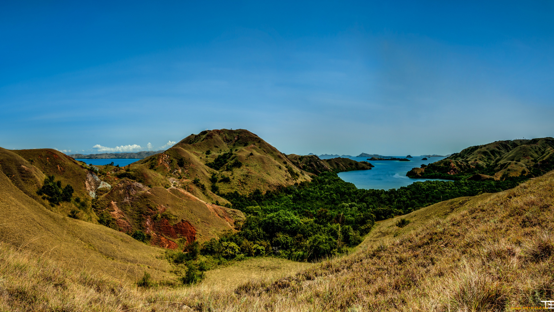 природа, побережье, океан