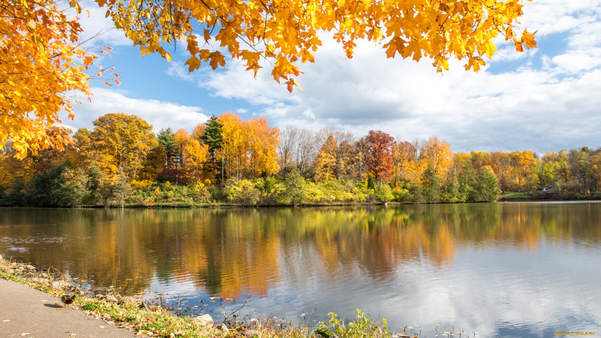 природа, реки, озера, краски, озеро, лес, осень