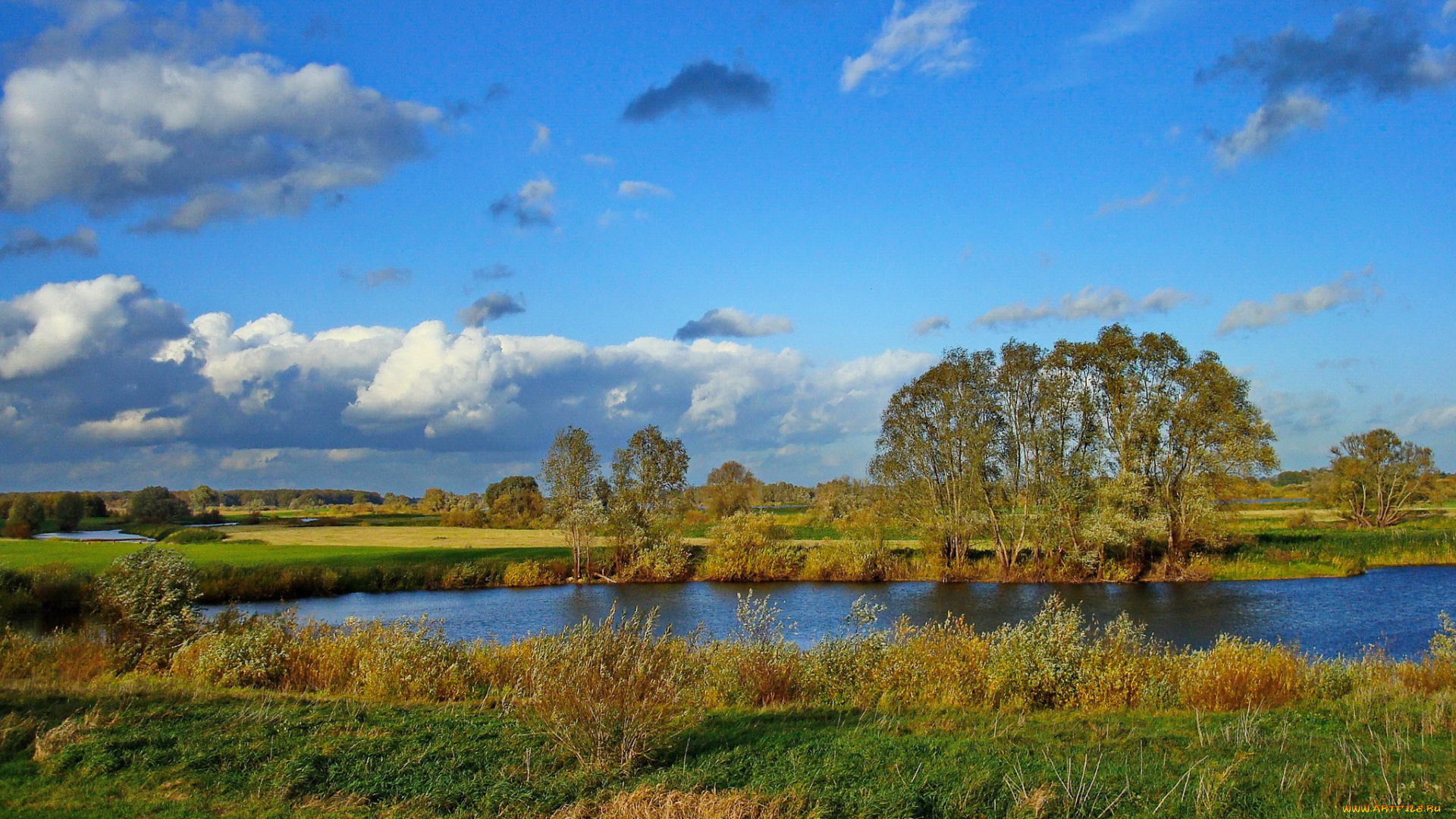 природа, реки, озера, река, равнина, луга, деревья